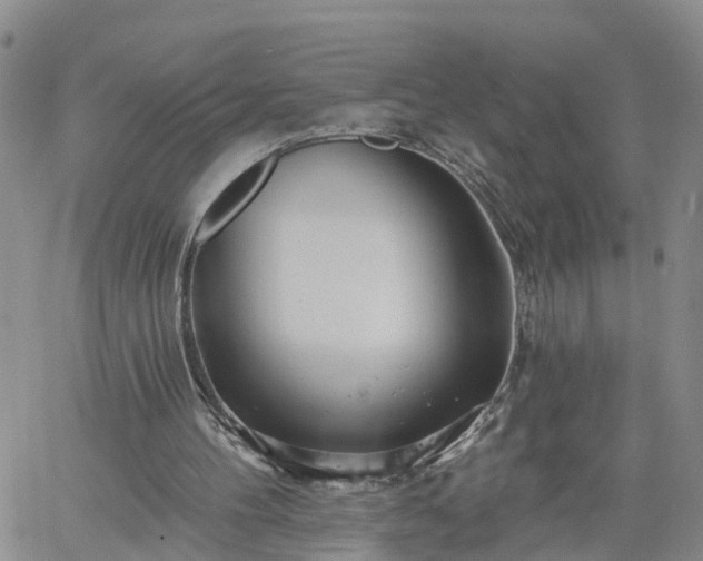 X0000061730100200512091555