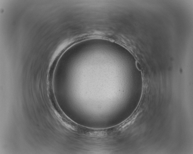 X0000061730102200512091555