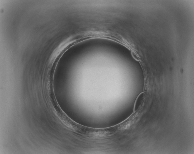 X0000061730103200512091555