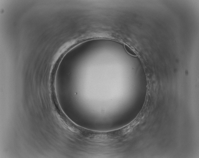 X0000061730104200512091555