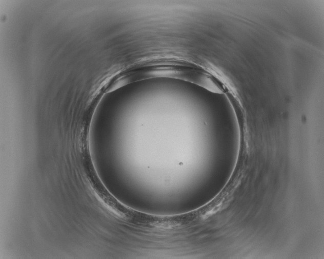 X0000061730105200512091555