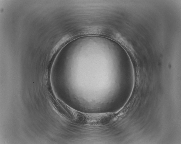 X0000061730107200512091555