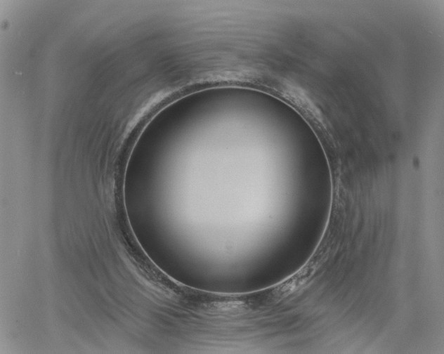 X0000061730108200512091555