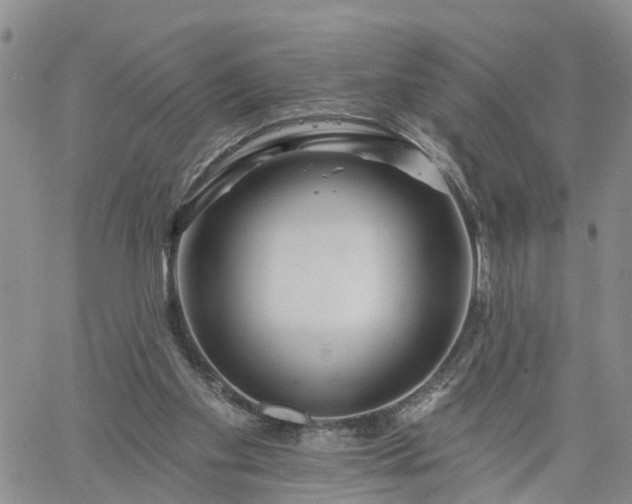 X0000061730109200512091555