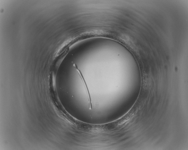 X0000061730111200512091555