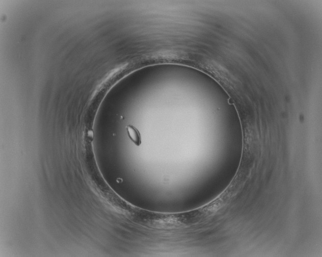 X0000061730112200512091555