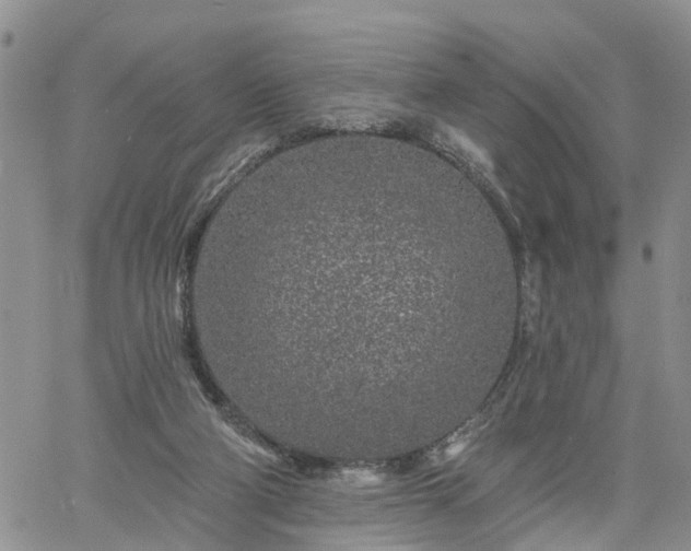 X0000061730114200512091555