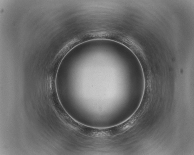 X0000061730115200512091555