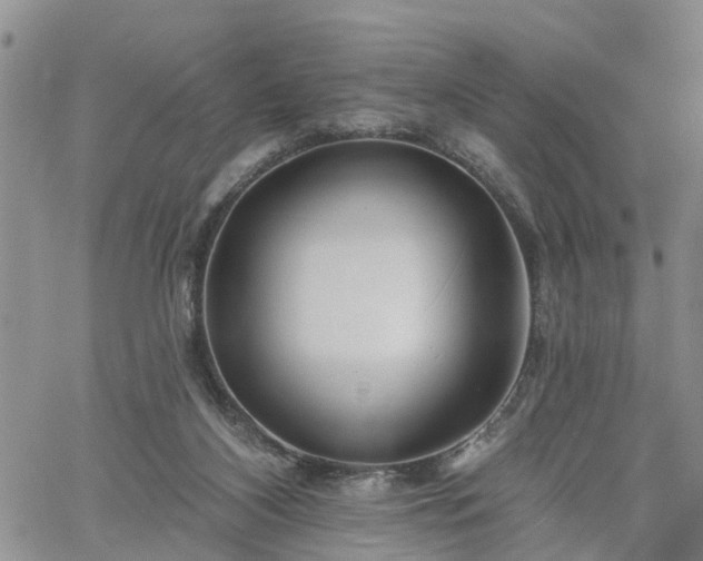 X0000061730116200512091555