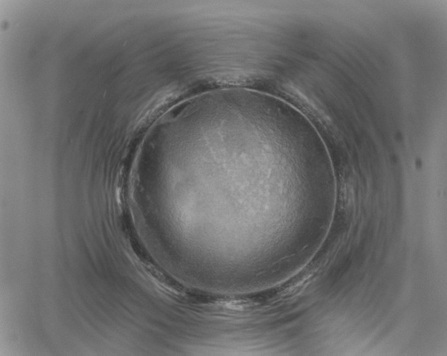 X0000061730117200512091555