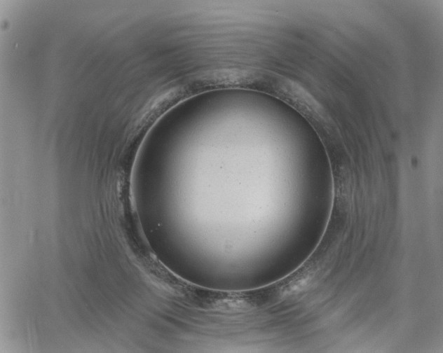 X0000061730119200512091555