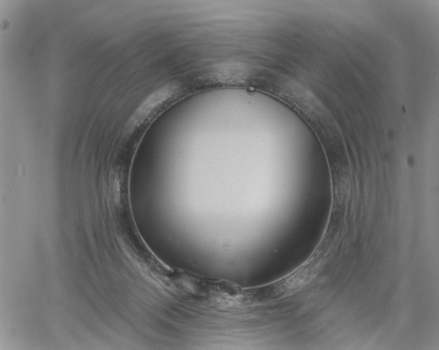 X0000061730120200512091555