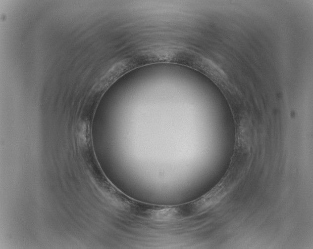 X0000061730122200512091555