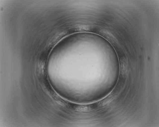 X0000061730123200512091555