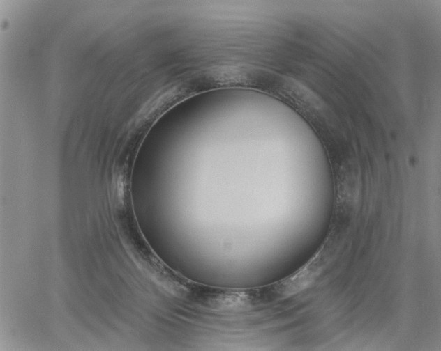 X0000061730124200512091555