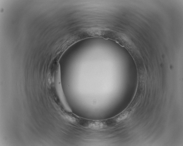 X0000061730125200512091555