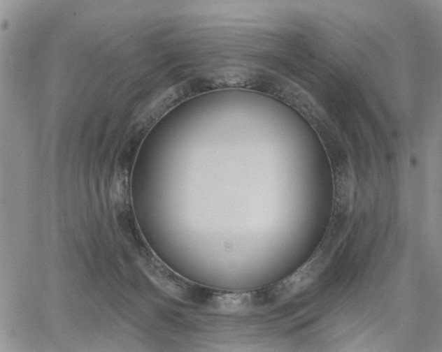 X0000061730126200512091555