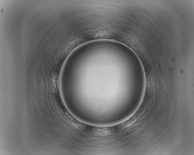 X0000061730127200512091555