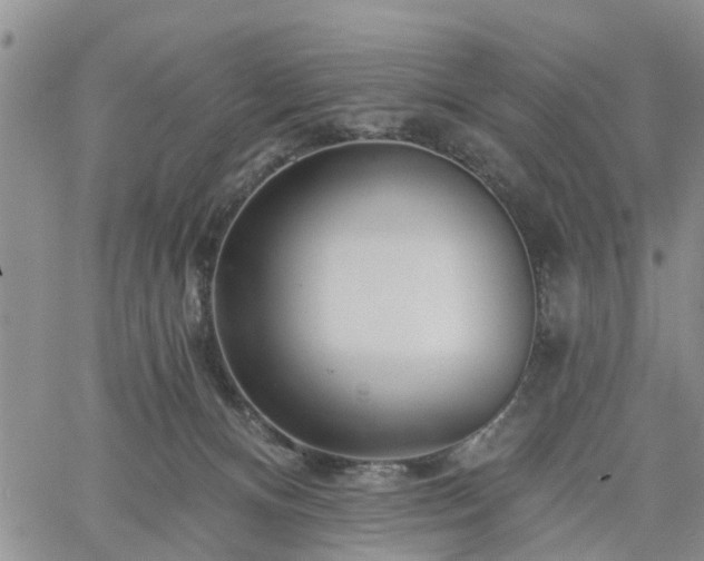 X0000061730128200512091555