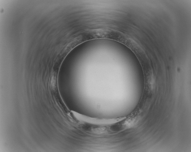 X0000061730129200512091555