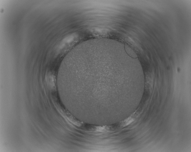 X0000061730130200512091555