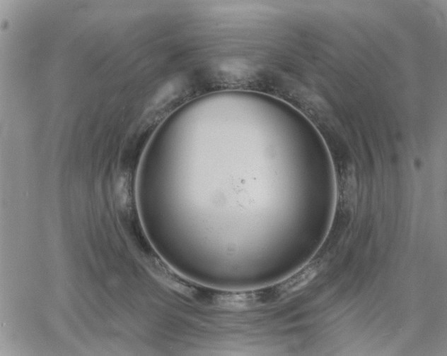 X0000061730131200512091555