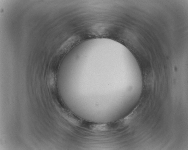 X0000061730132200512091555