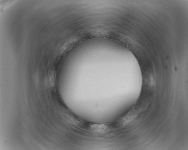 X0000061730133200512091555