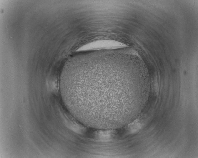 X0000061730134200512091555