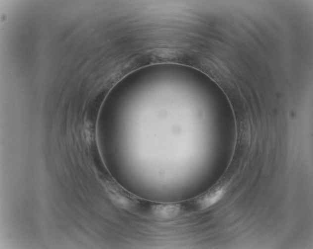 X0000061730135200512091554