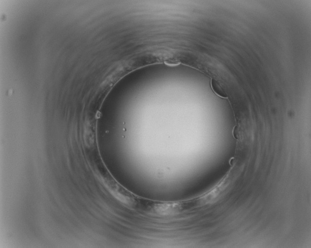 X0000061730136200512091554