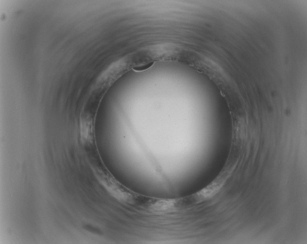 X0000061730138200512091554