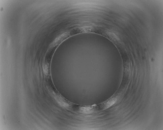 X0000061730139200512091554