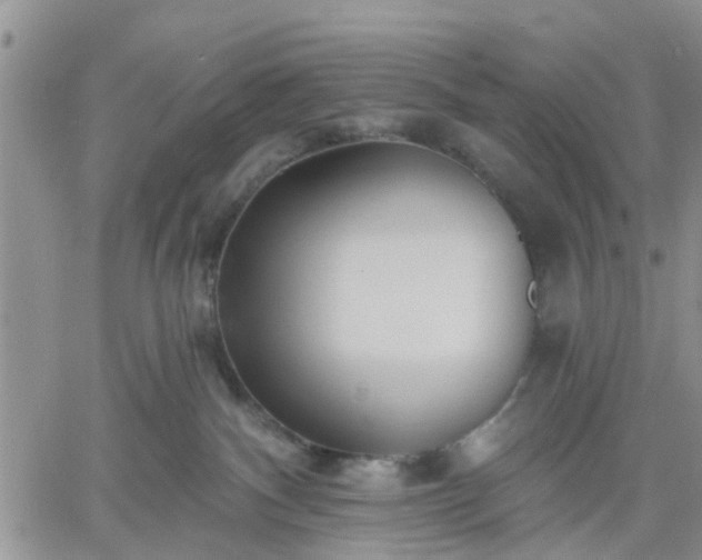 X0000061730140200512091554