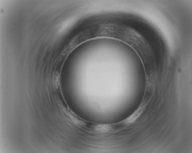 X0000061730142200512091554