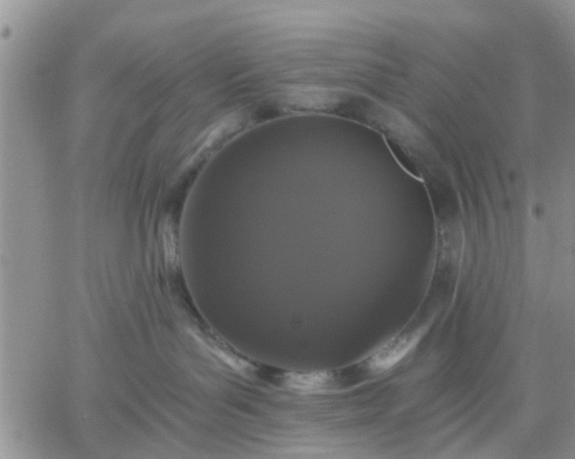 X0000061730143200512091554