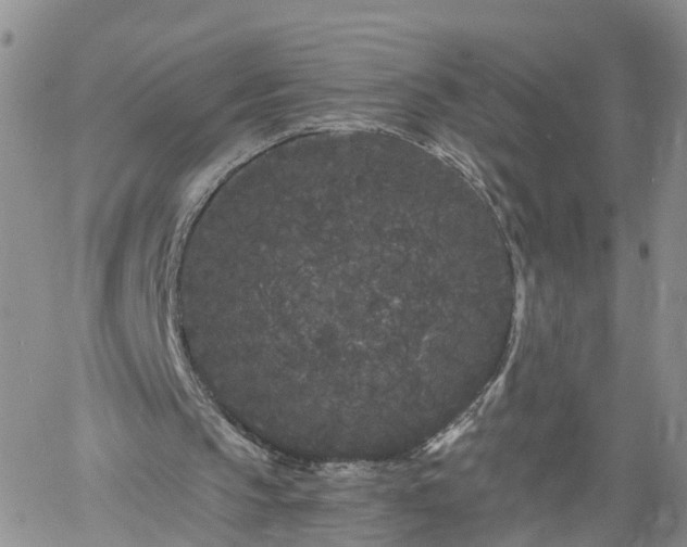 X0000061730145200512091554