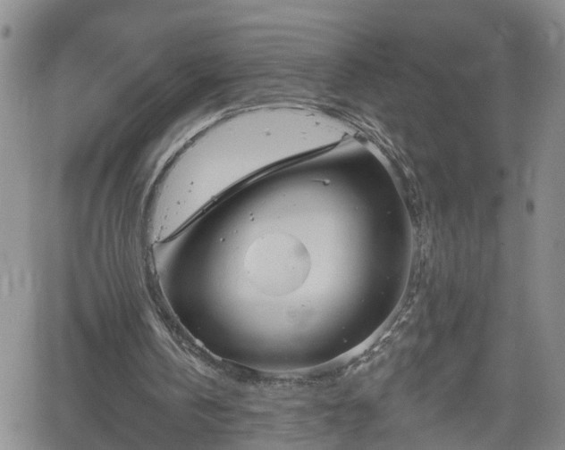 X0000061730146200512091554