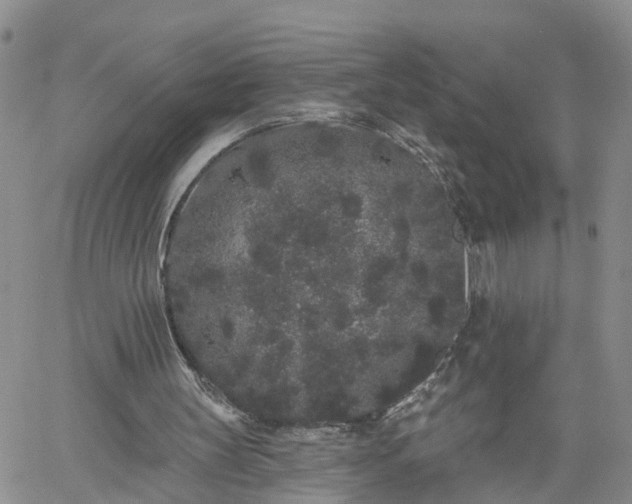 X0000061730147200512091554