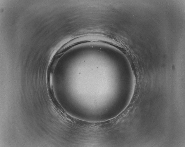 X0000061730148200512091554