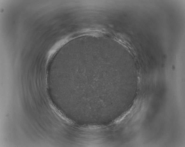 X0000061730149200512091554