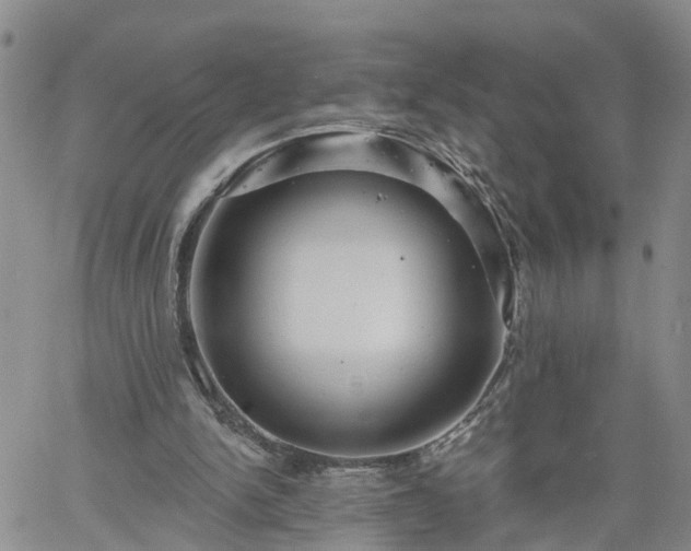 X0000061730150200512091554