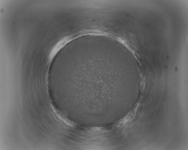 X0000061730151200512091554