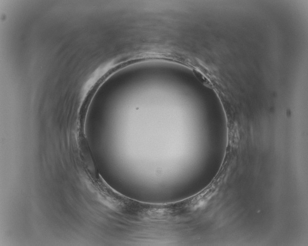 X0000061730152200512091554