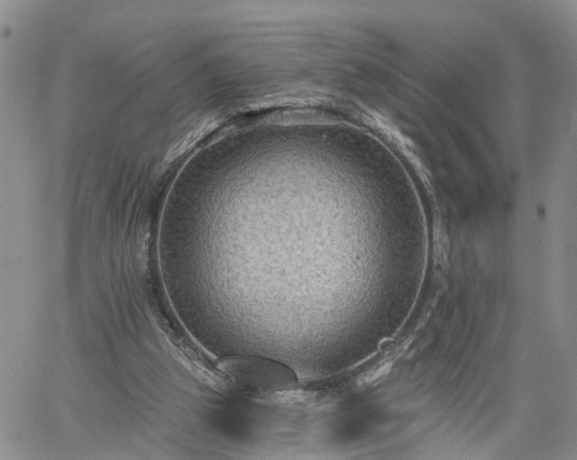 X0000061730153200512091554