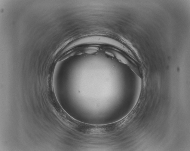 X0000061730154200512091554