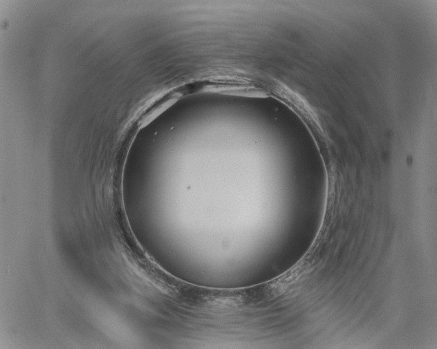 X0000061730155200512091554