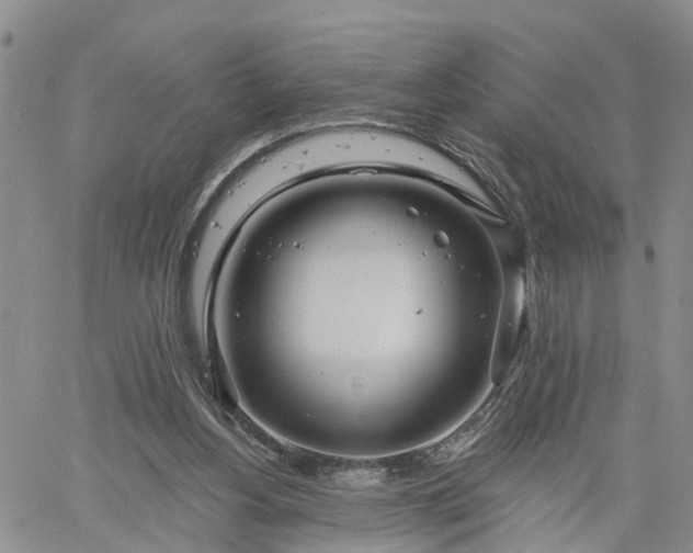 X0000061730156200512091554