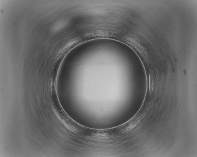 X0000061730157200512091554