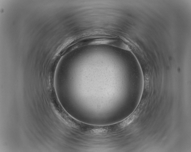 X0000061730158200512091554